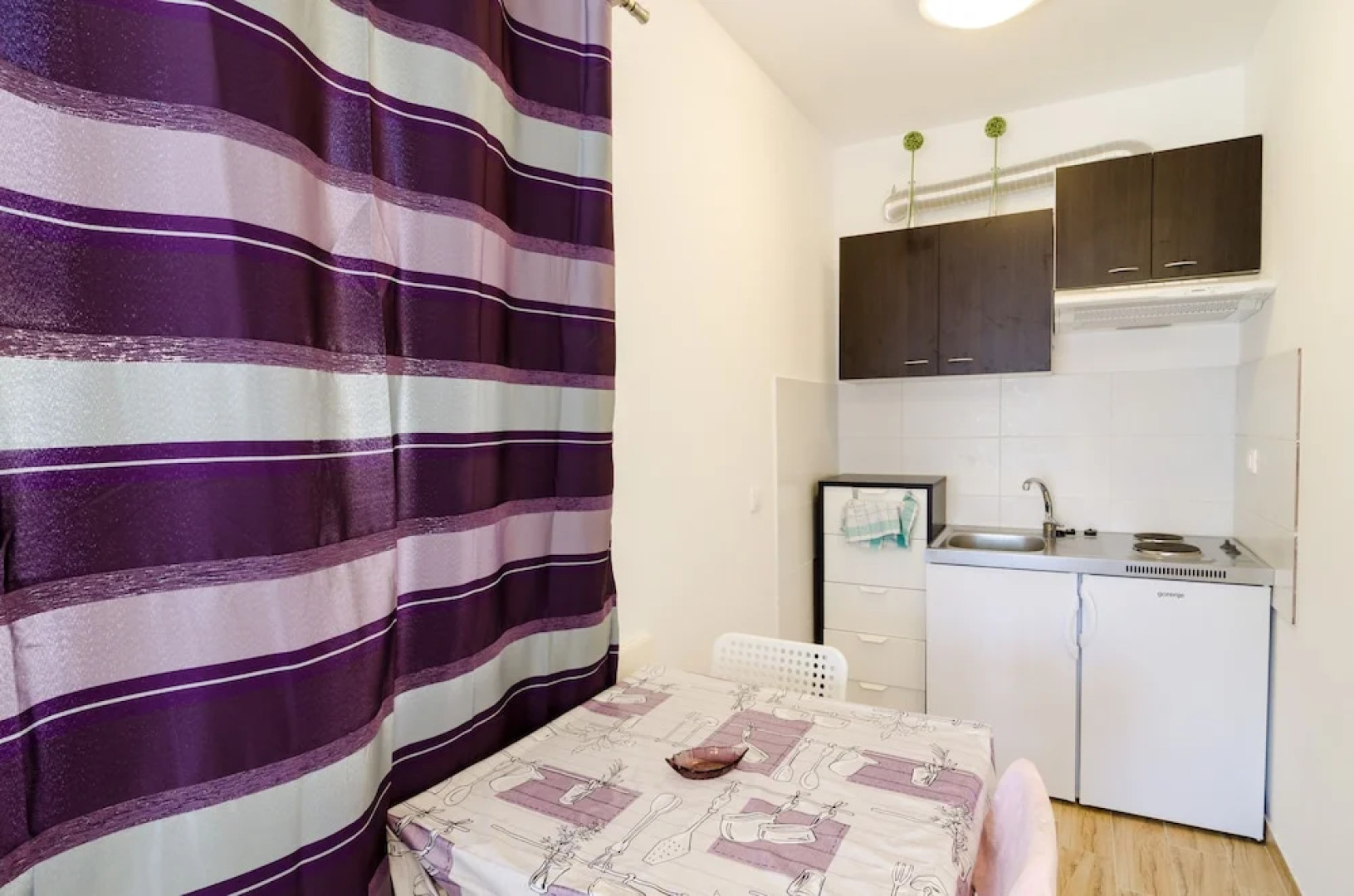 Studio Apartment Nika