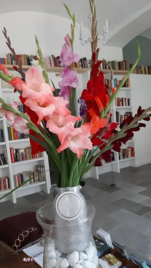 Apartments in Villa Crusca