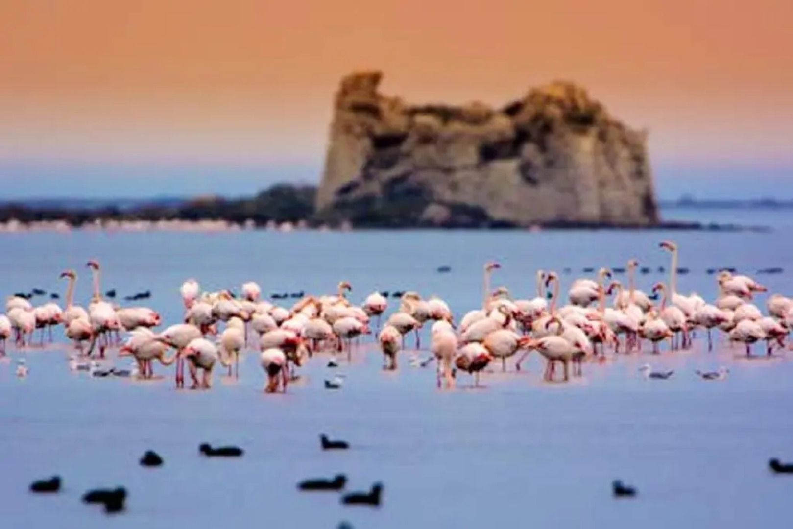 4 bedrooms appartement with city view terrace and wifi at Tortosa