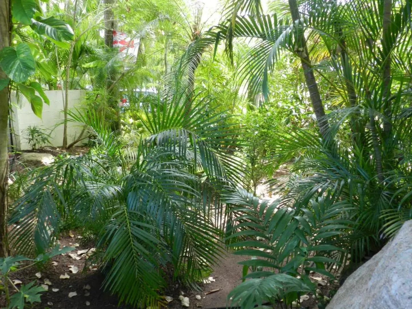 Oskars Rainforest Retreat