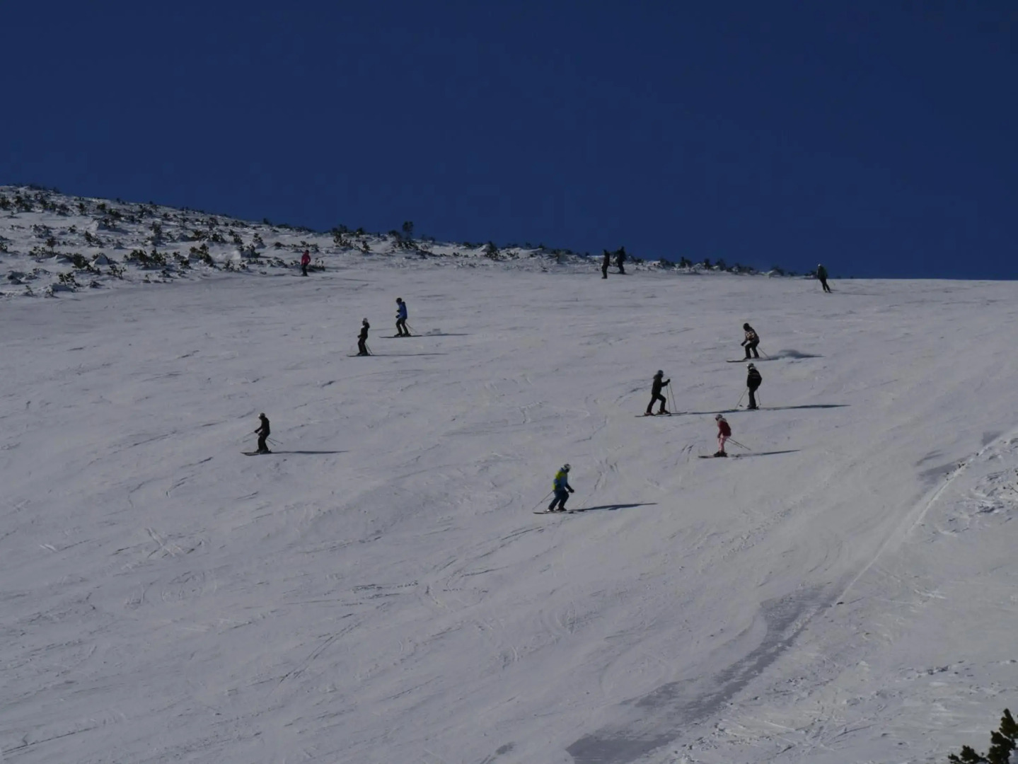 Altavista mountain apartment