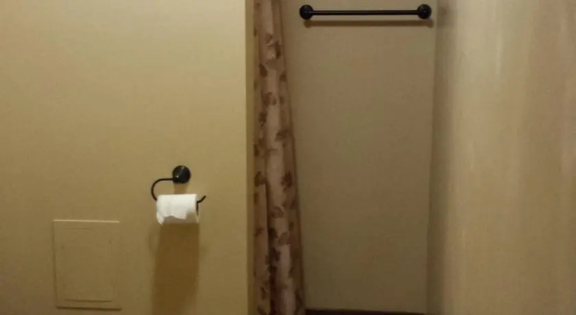 Ski / Hike / Bike / Sleep - Seneca Trail Snowshoe