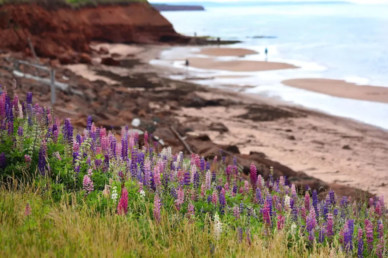 Summerside Inn Bed and Breakfast