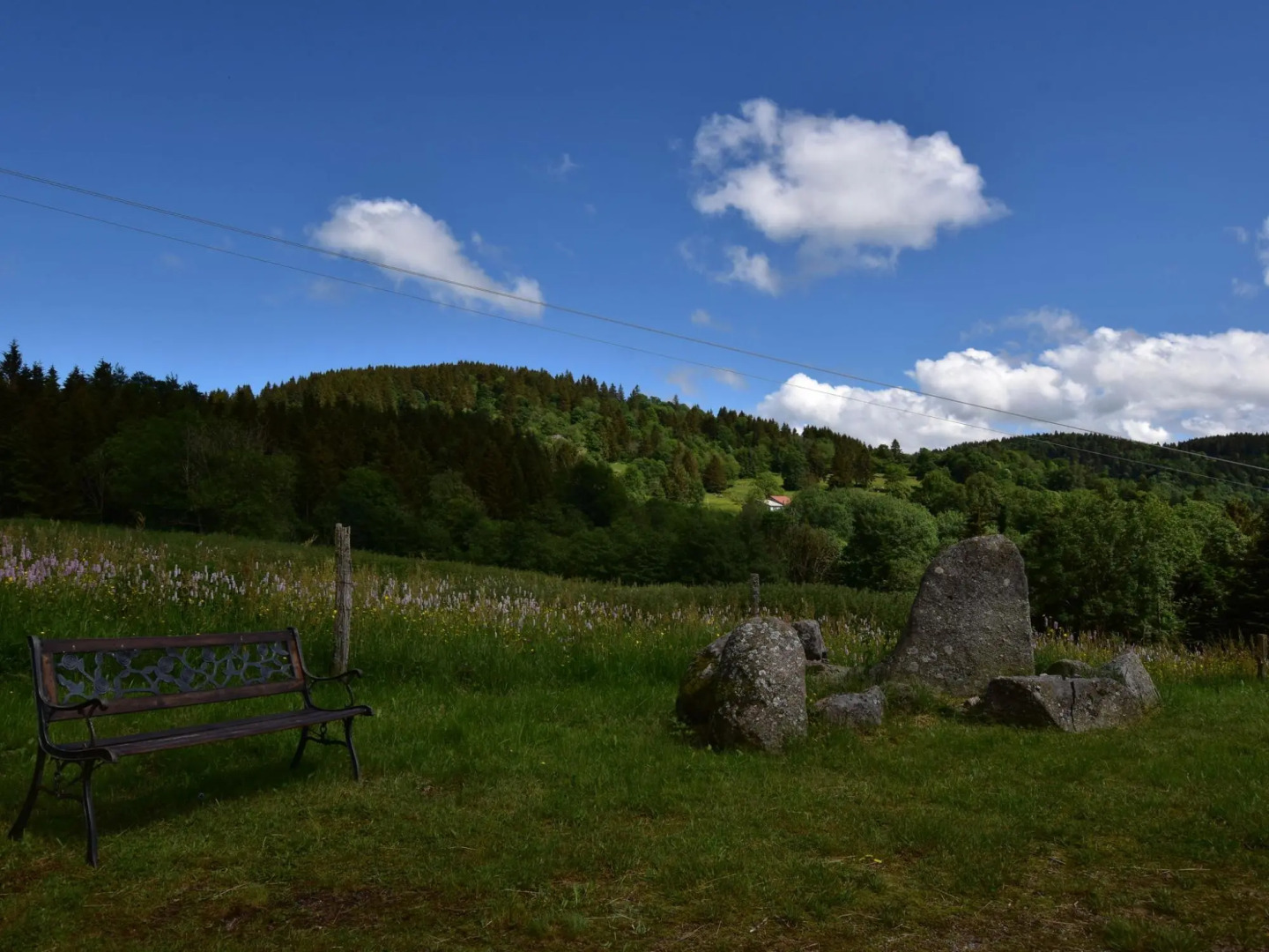 Beautiful Chalet Amidst Mountains in Saulxures-sur-Moselotte