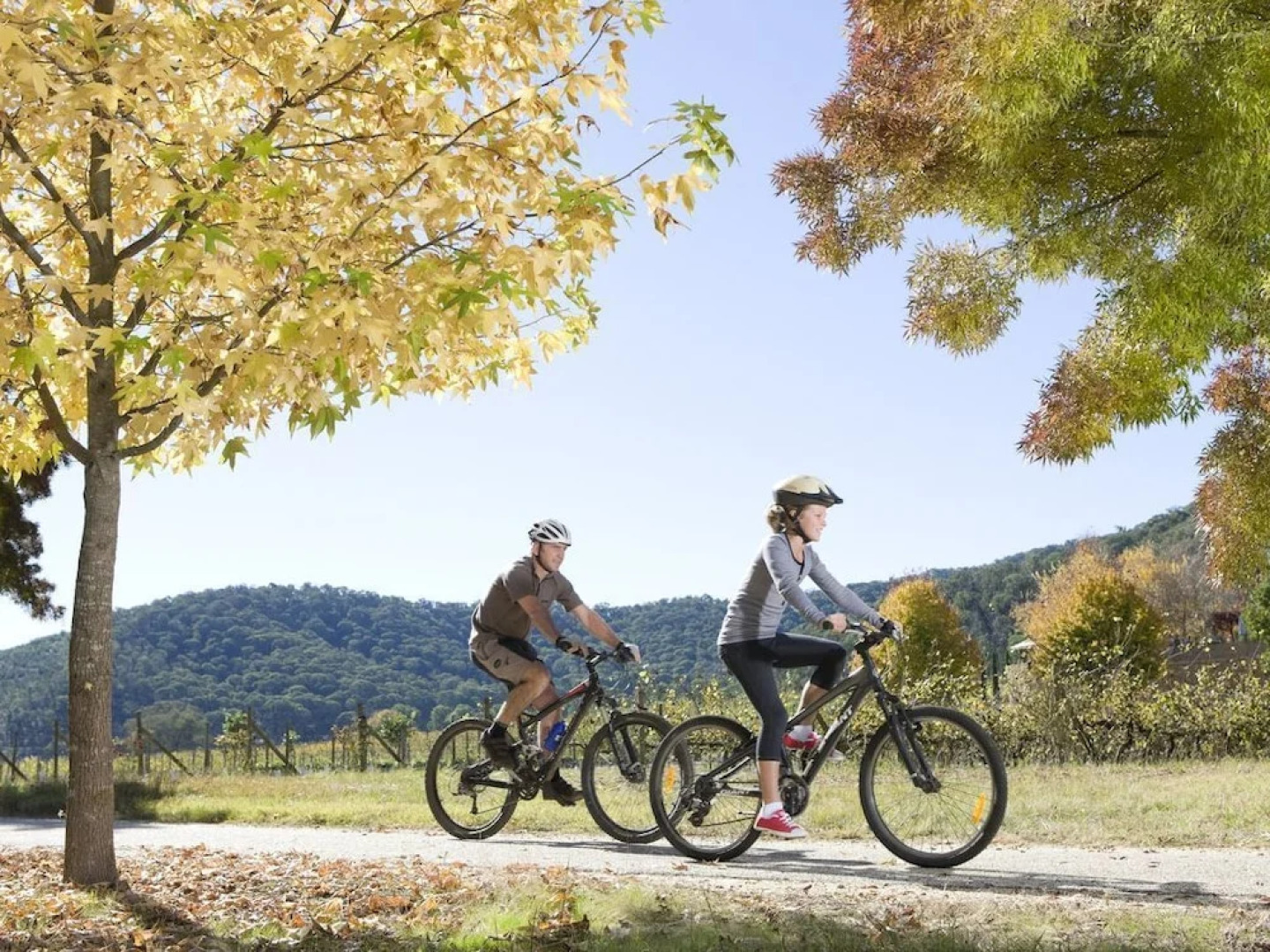 Mystic View Cottage Wandiligong