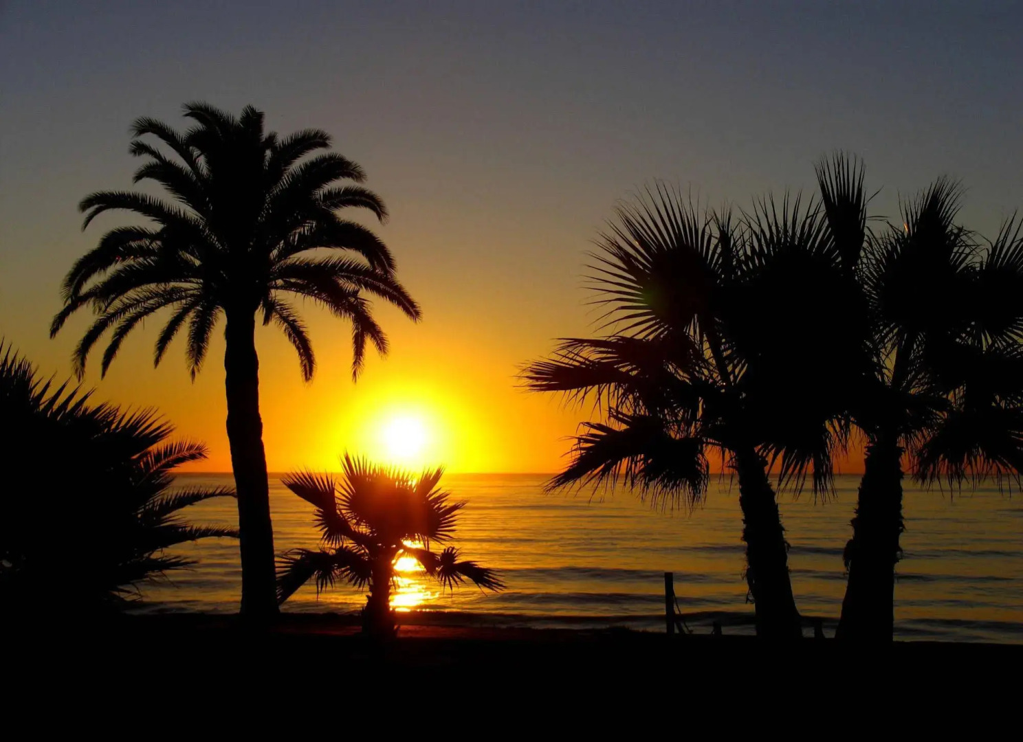 Apartamentos Turísticos Marina d'Or 2 Línea