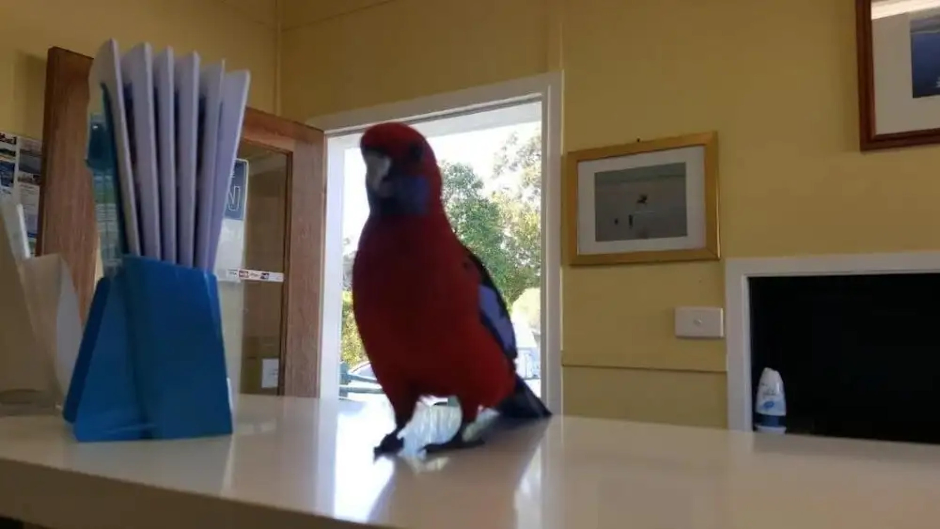 Lake Conjola Waterfront Holiday Park