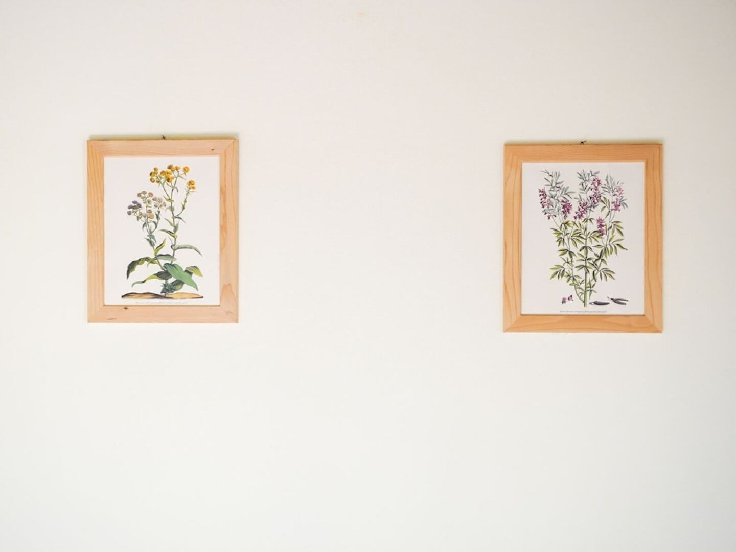 Farmhouse in Tuscany Near Anghiari