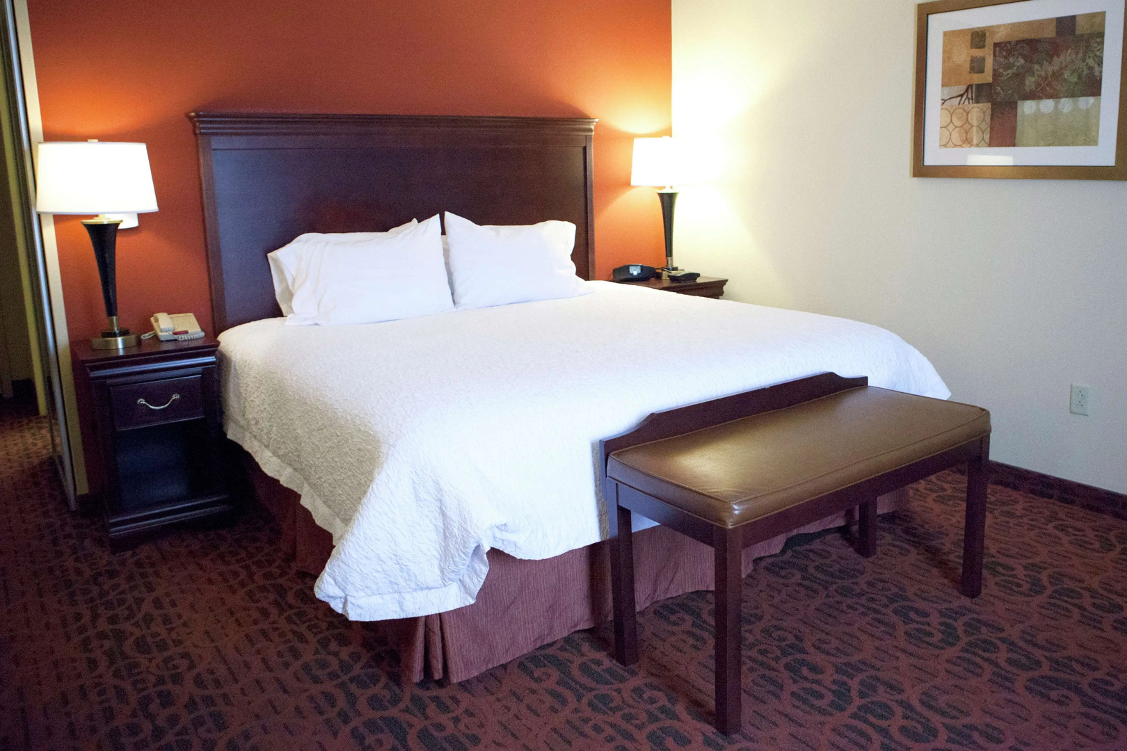 Hampton Inn Rochester Webster