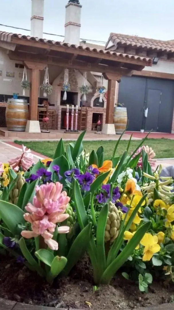 Casas Rurales Mirador del Valle