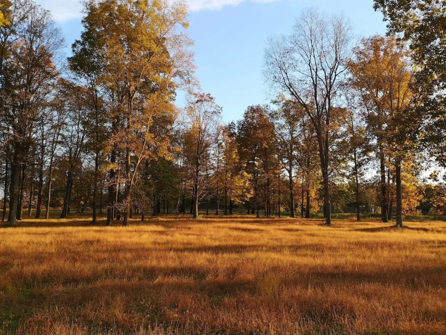 World Vacation Hotel