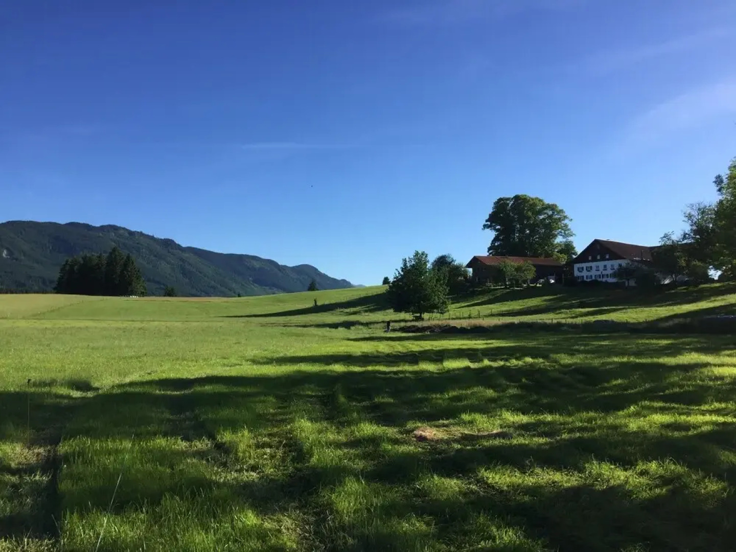Modern Apartment in Lindegg with Balcony