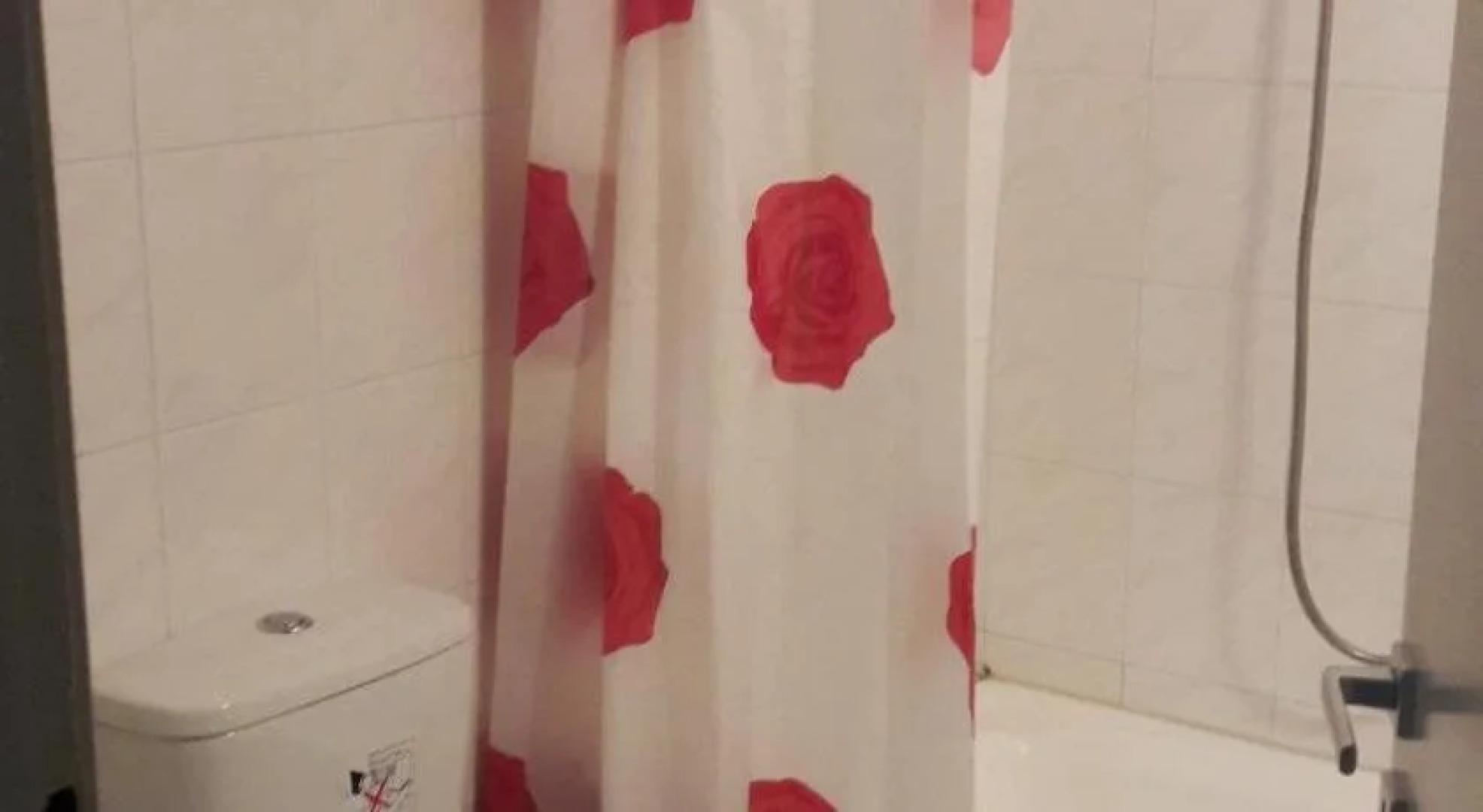 Oasis Apartments & Rooms