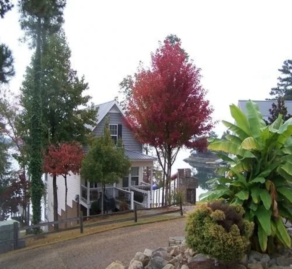 Chesnut Bay Resort