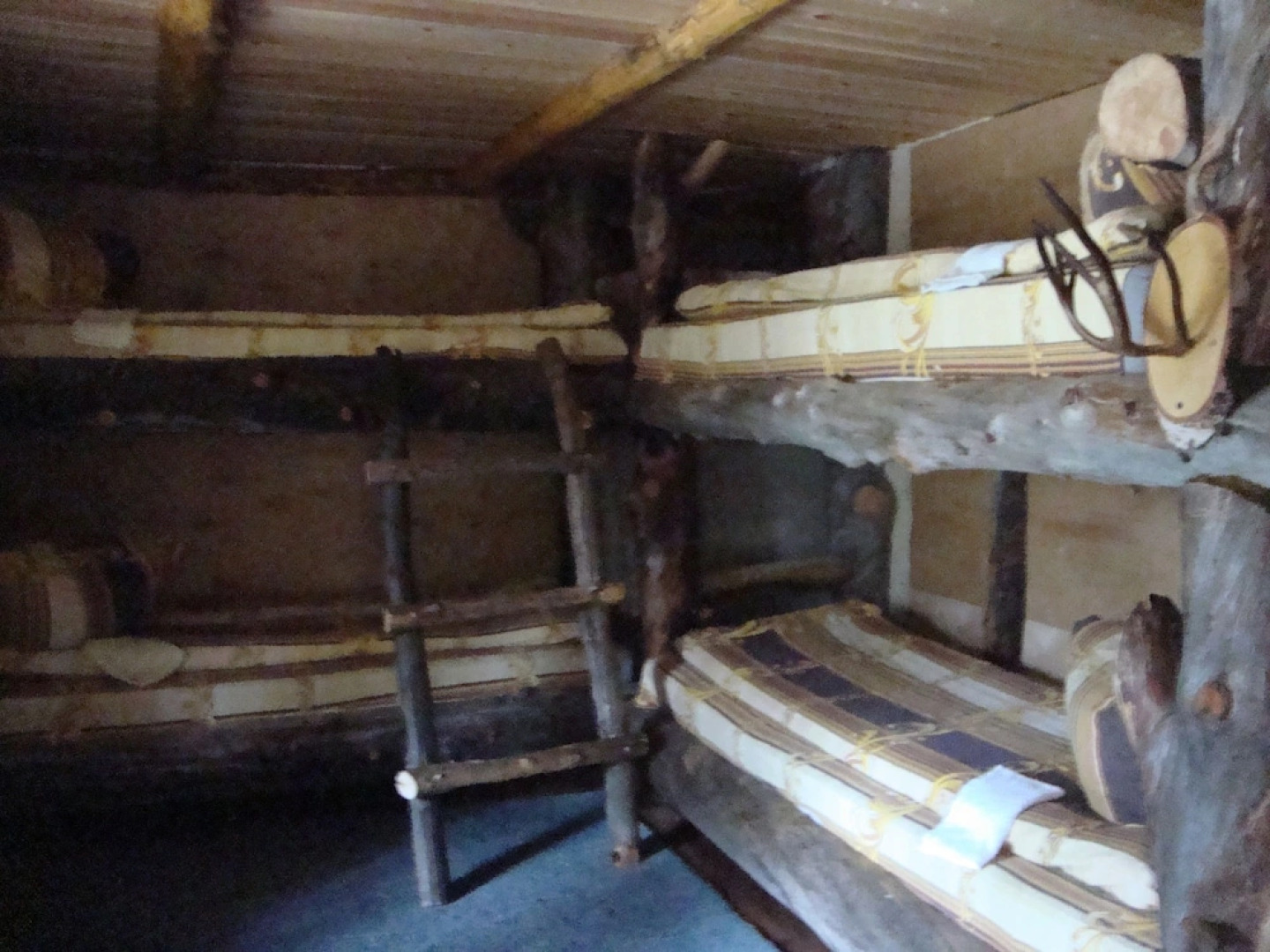 Коттедж на природе Bear Corner