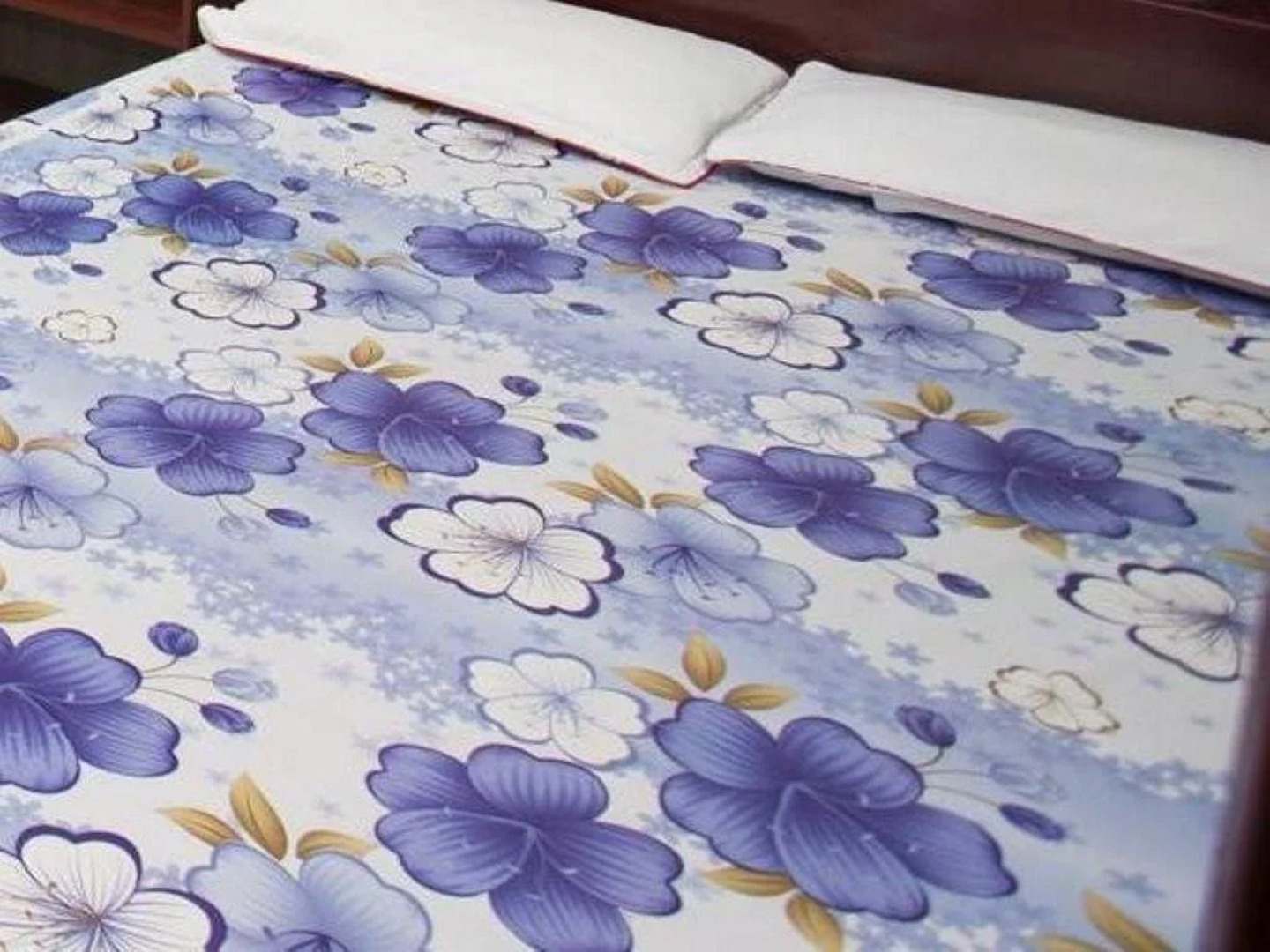 Hoang Anh Guest House