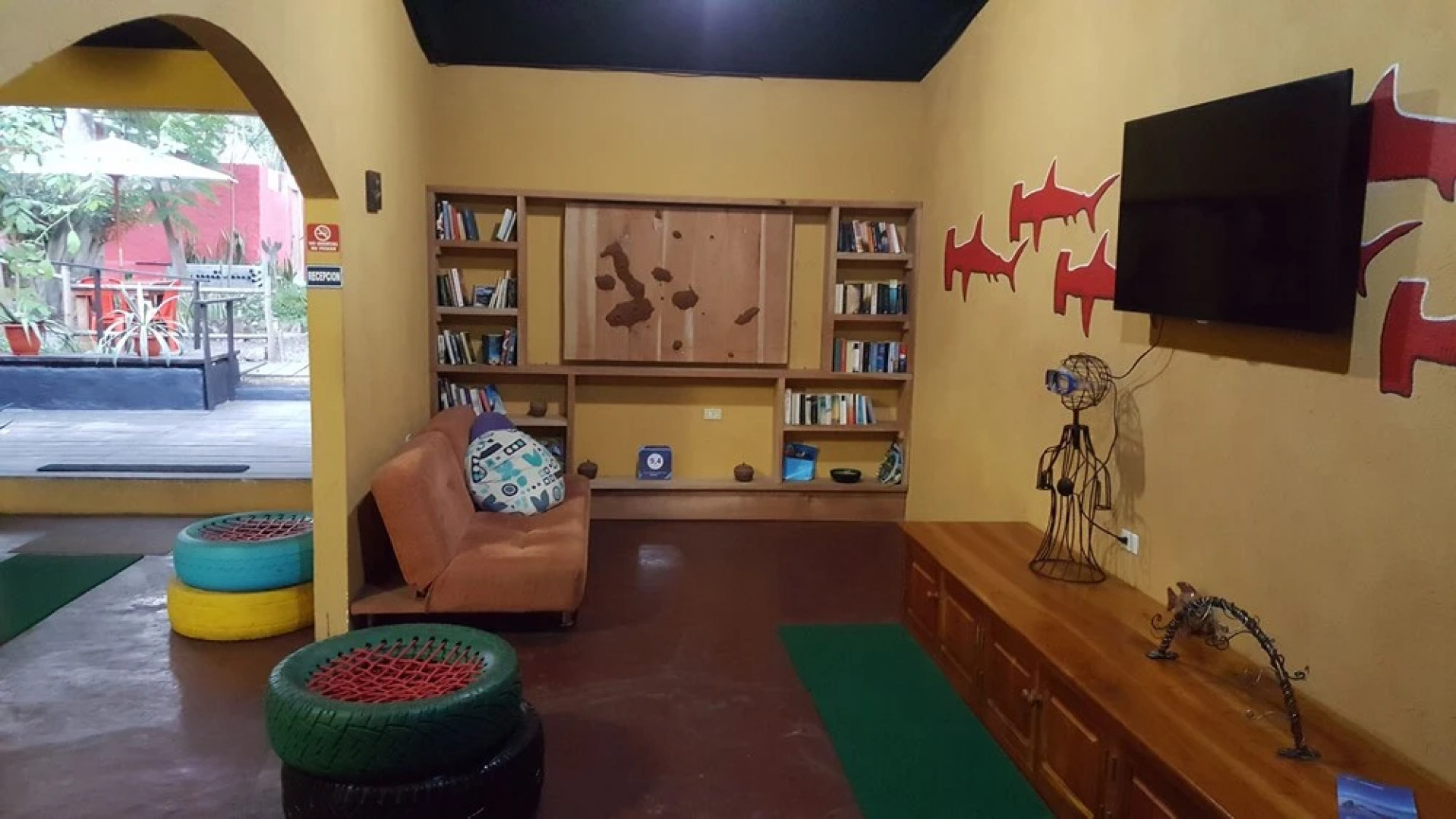 Galapagos Morning Glory