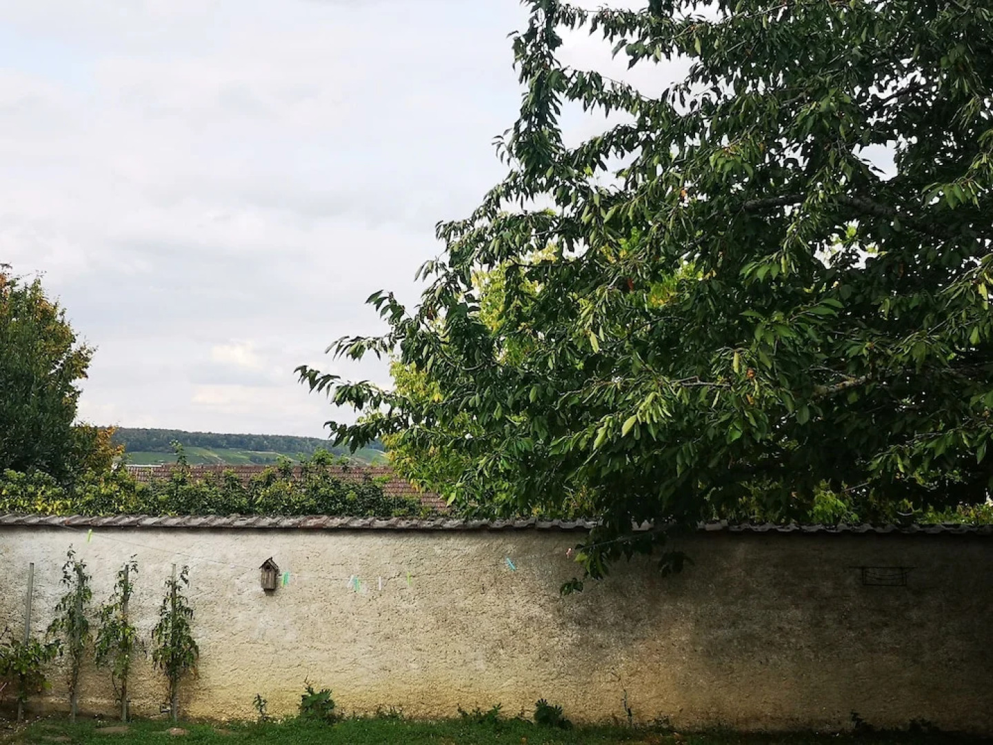 Le Temps D'une Pause à Boursault