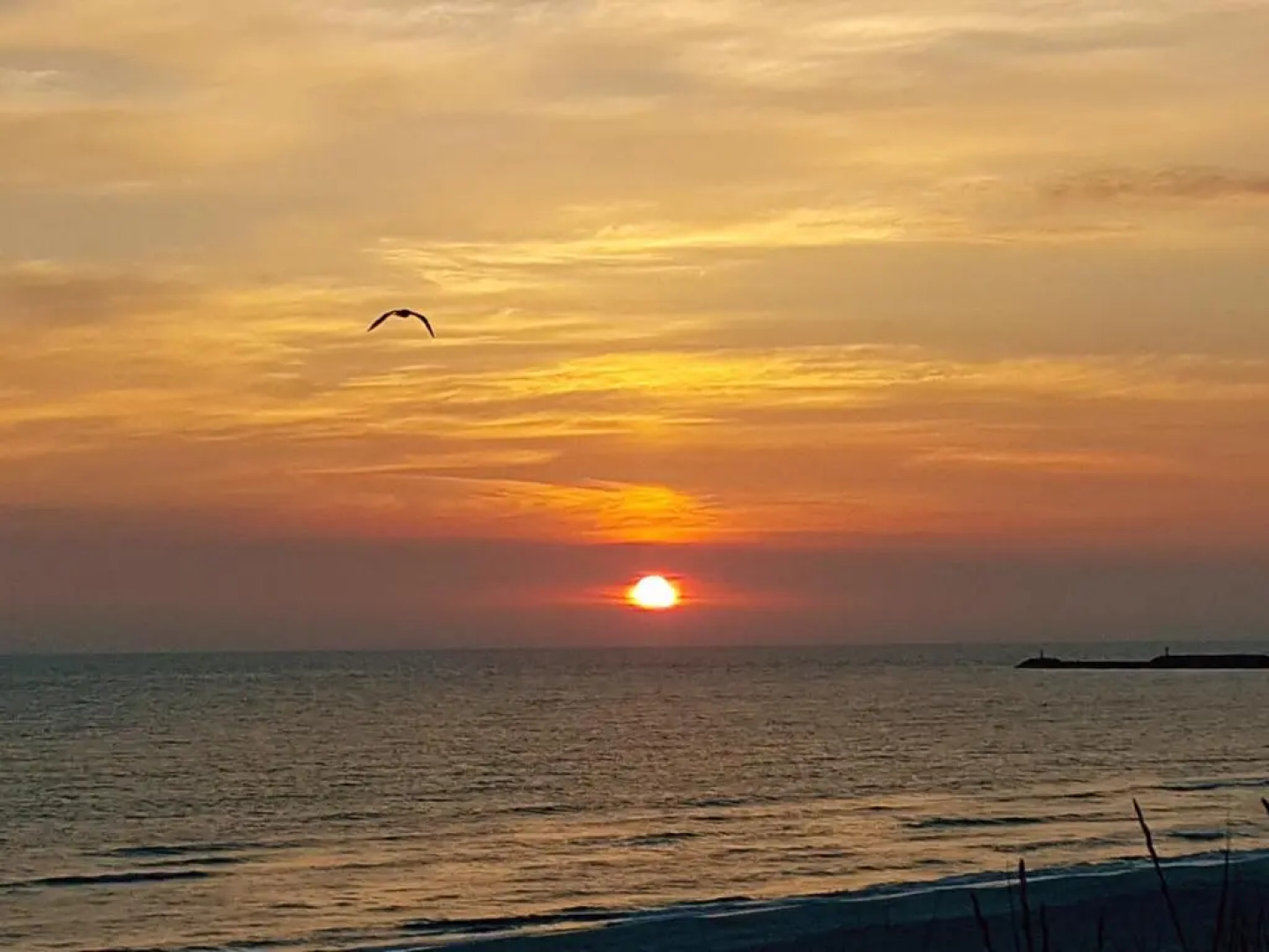 Surf And Family Sauna And Spa