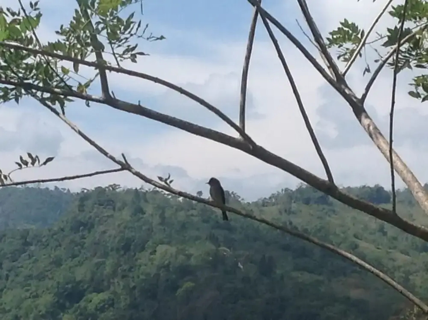 Rústico Montañas del Pacuare Costa Rica
