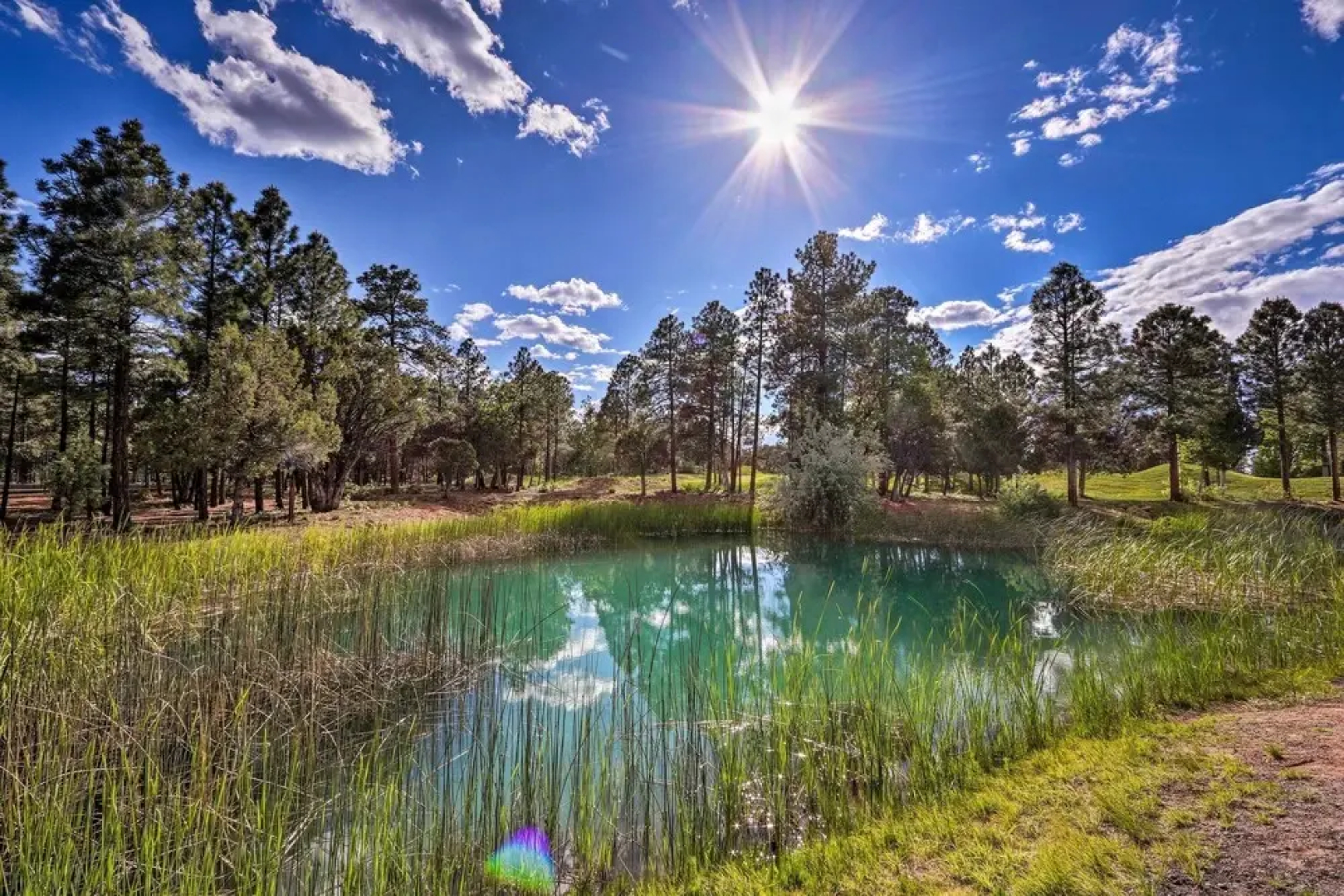 Cozy Show Low Cabin w/ Golfing & Paved Hiking!