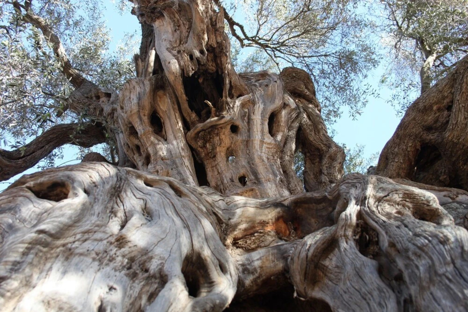 House With 3 Bedrooms in Villamassargia, With Wonderful Mountain View