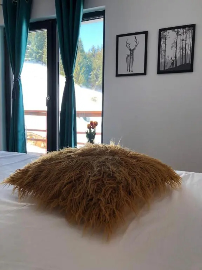 Casa de sub Munte Fundata2