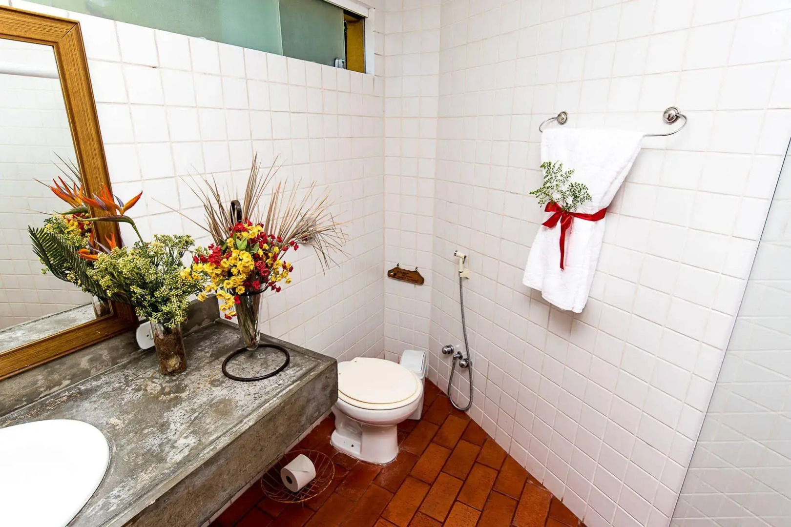 Bromelia Sabia & Cia