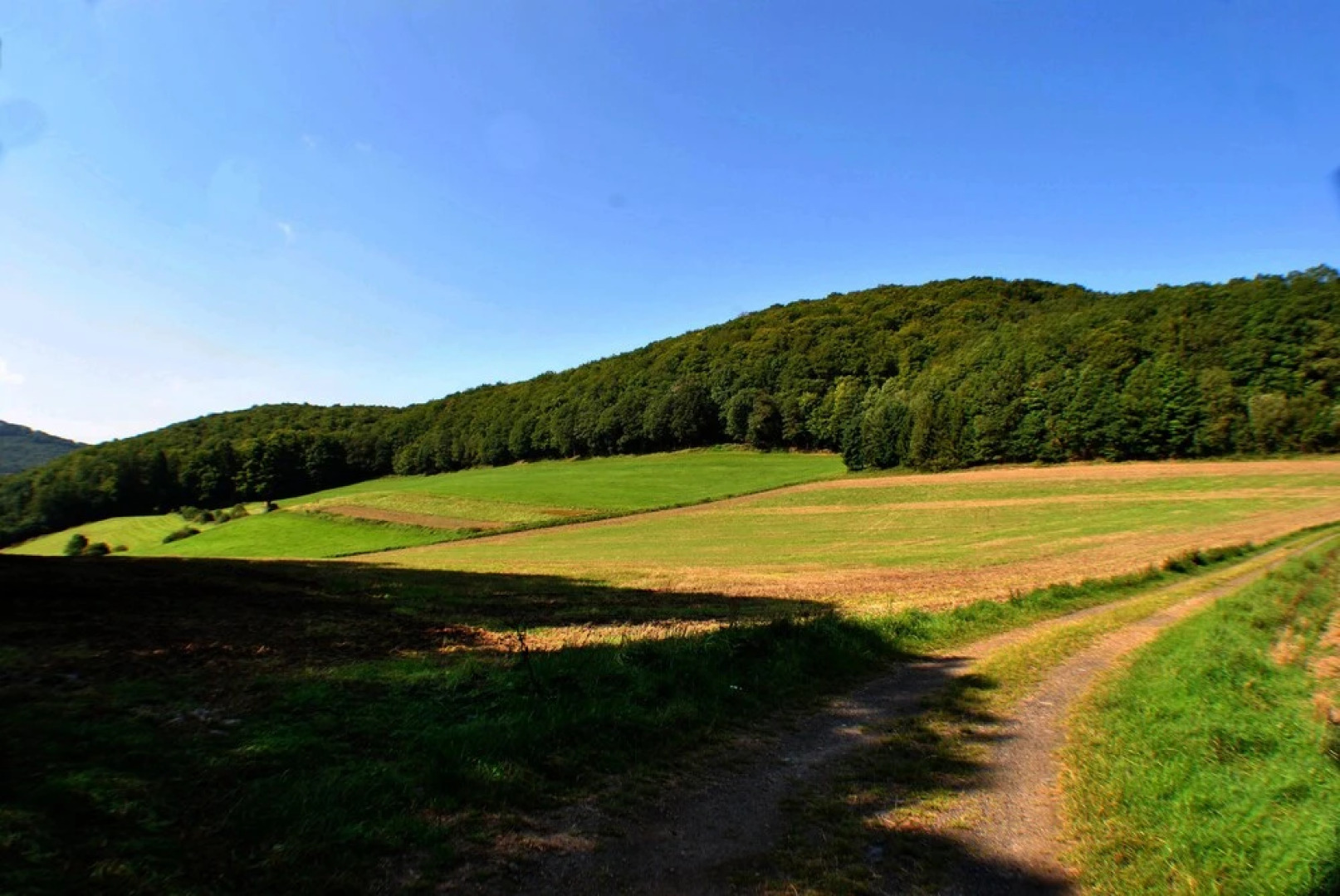Directly at the National Park Kellerwald-edersee - Guest Gift: "meinecardplus" 100 sqm