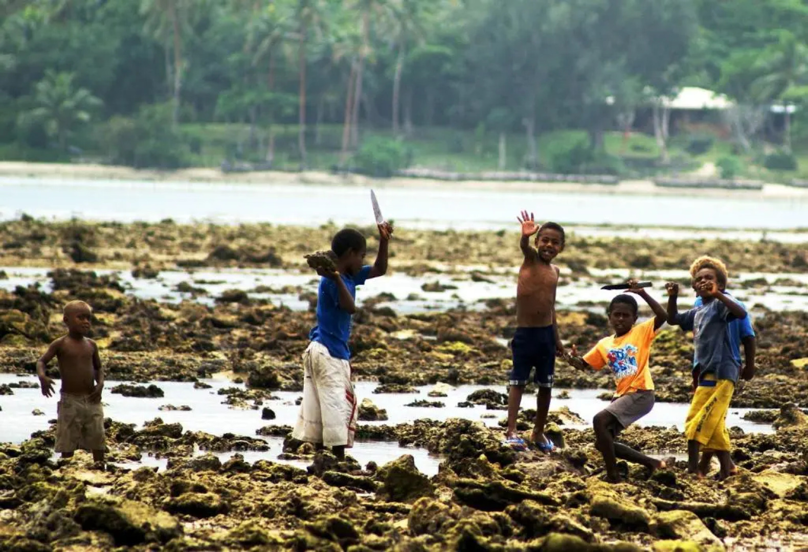 Bluepango Guest House - Hostel