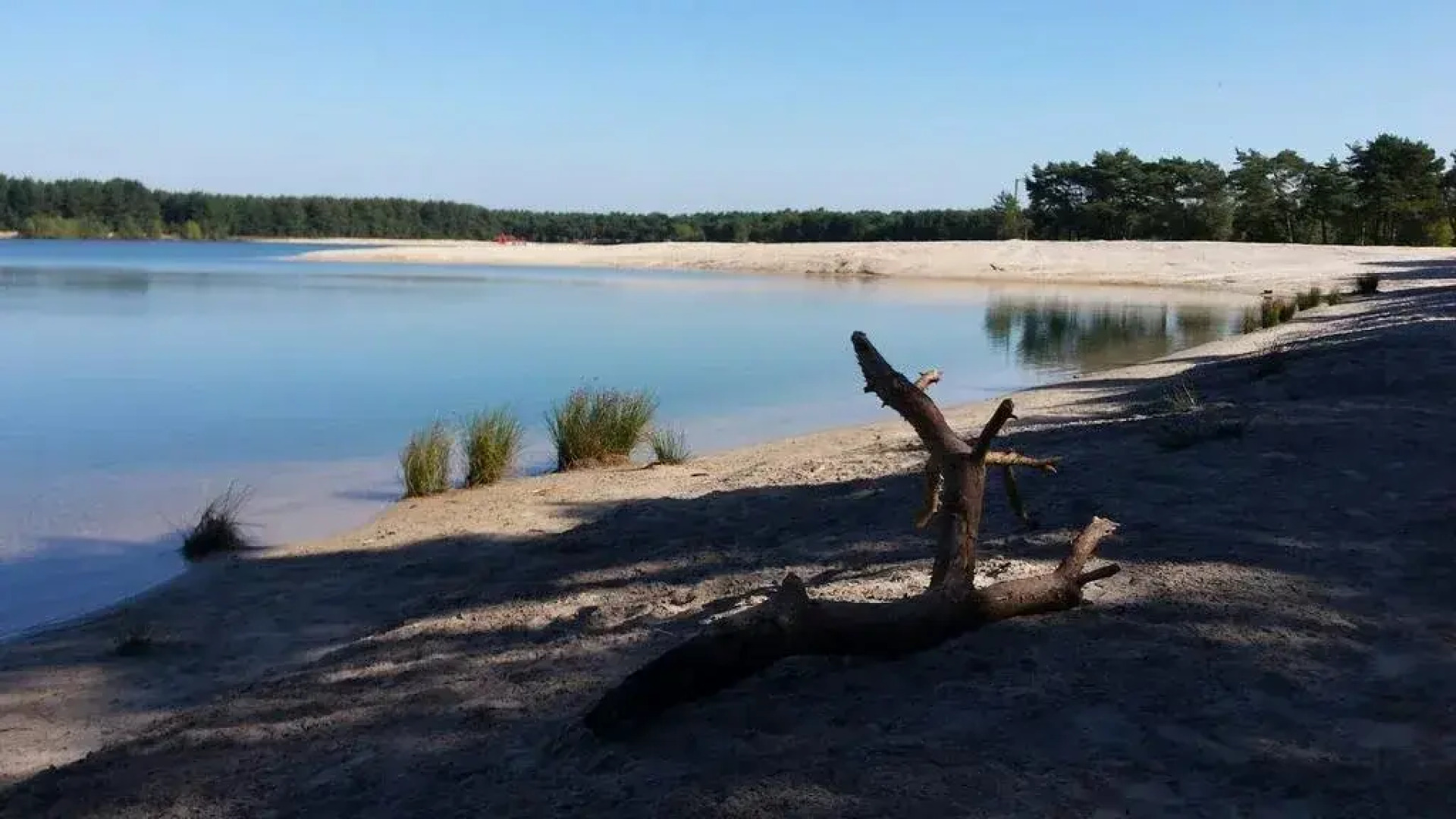 The Queensbed by The Wellness Cottage