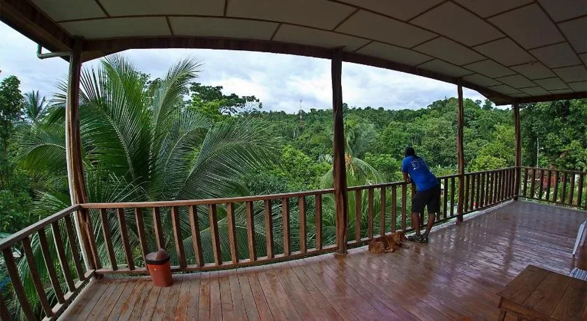 Hakuna Matata Drake Bay Hostel