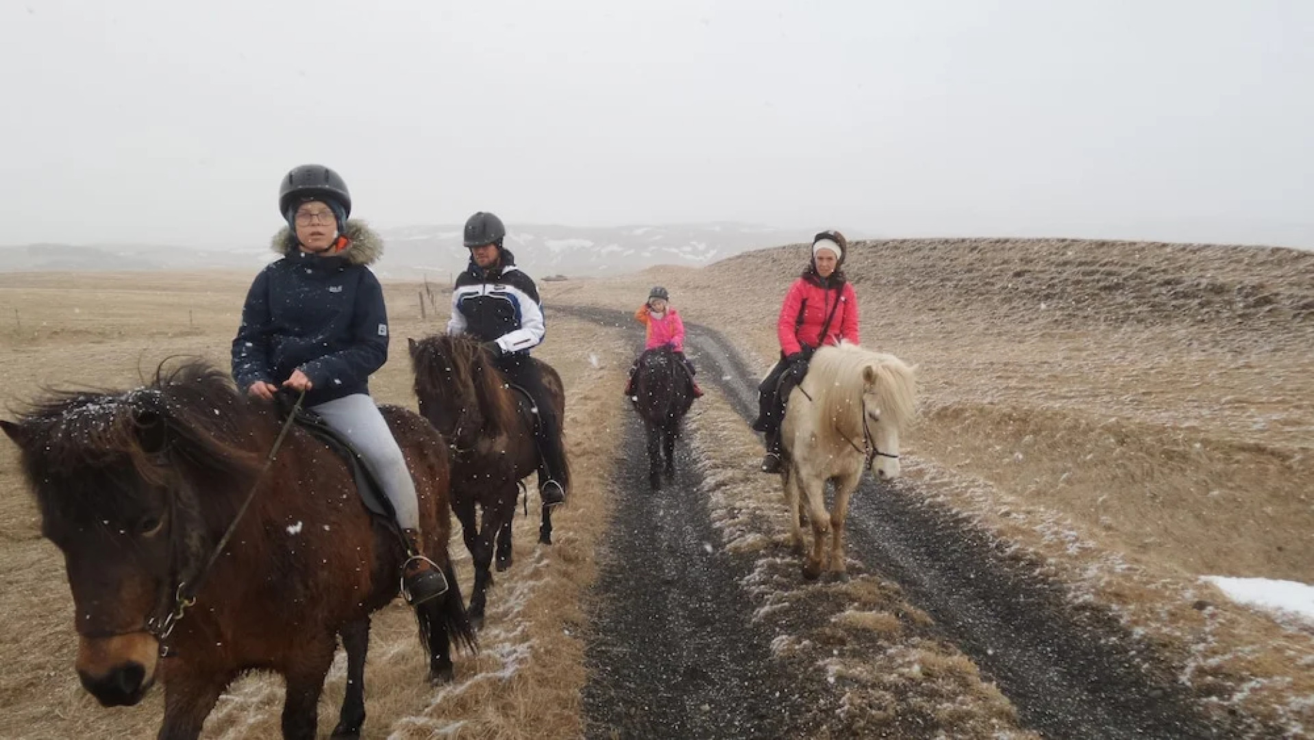 Guesthouse Steinsholt