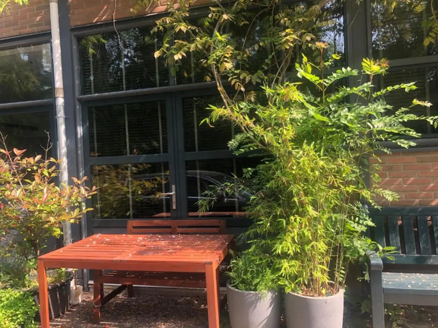 The Quay Amsterdam-Noord - FREE PARKING