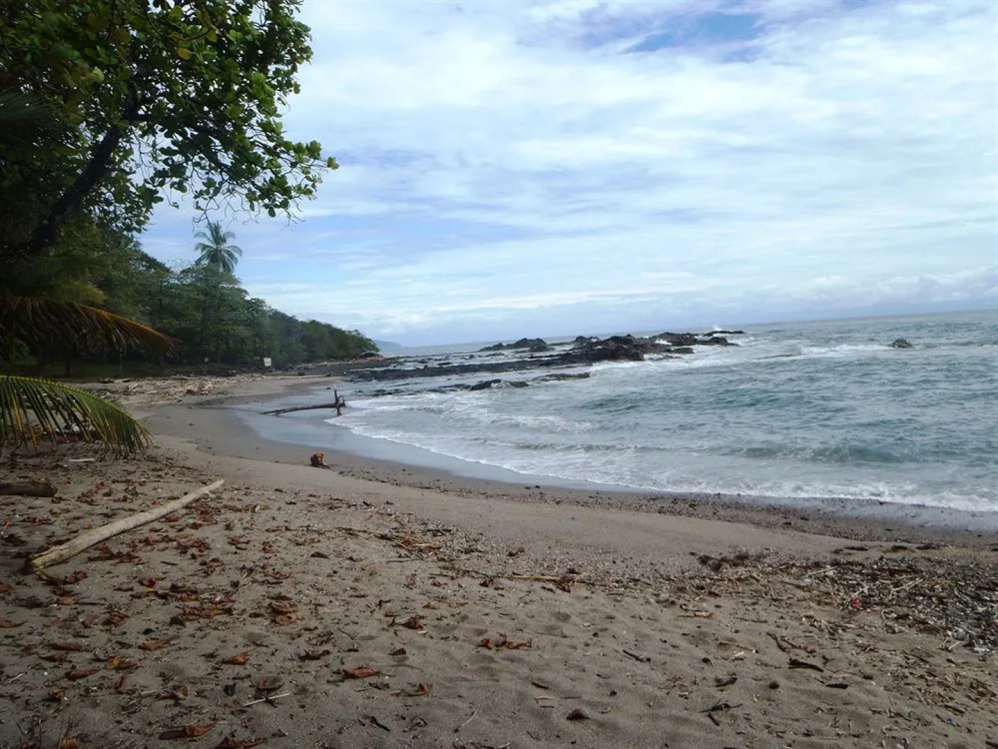 Vista Hermosa Bed and Breakfast