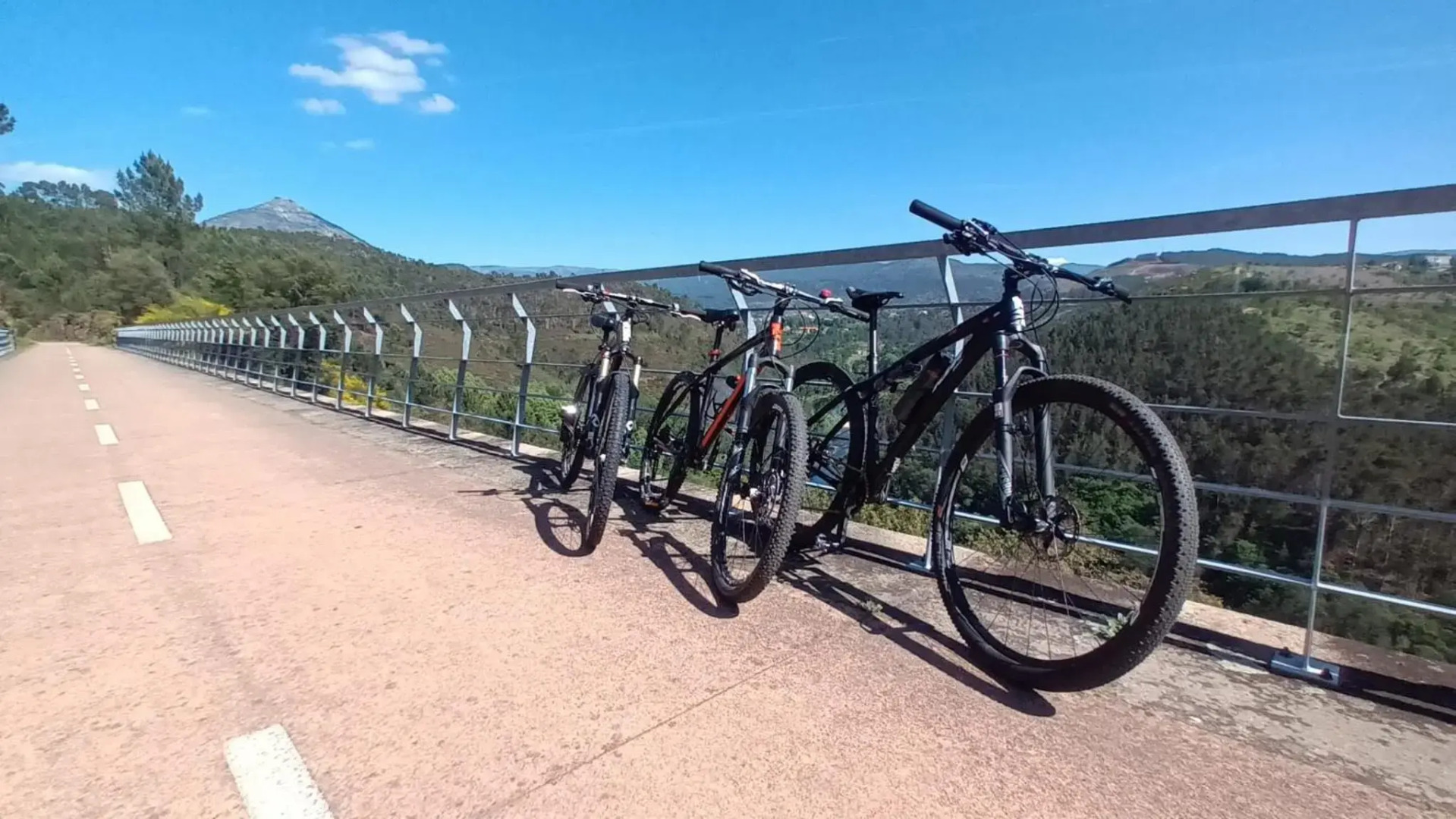 Guestready - Casa da Torre - Paradise in the North of Portugal