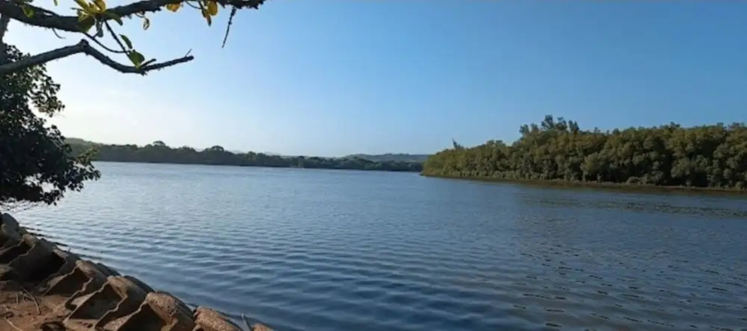 The Tropical Hut Lodges