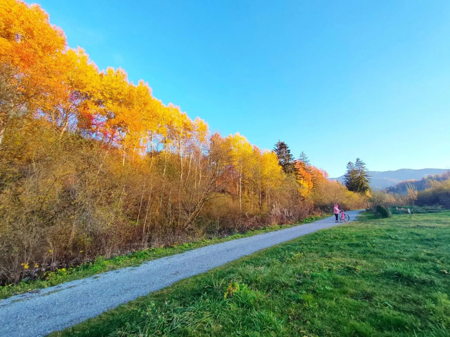 Ubytovanie v súkromí Grobarčík