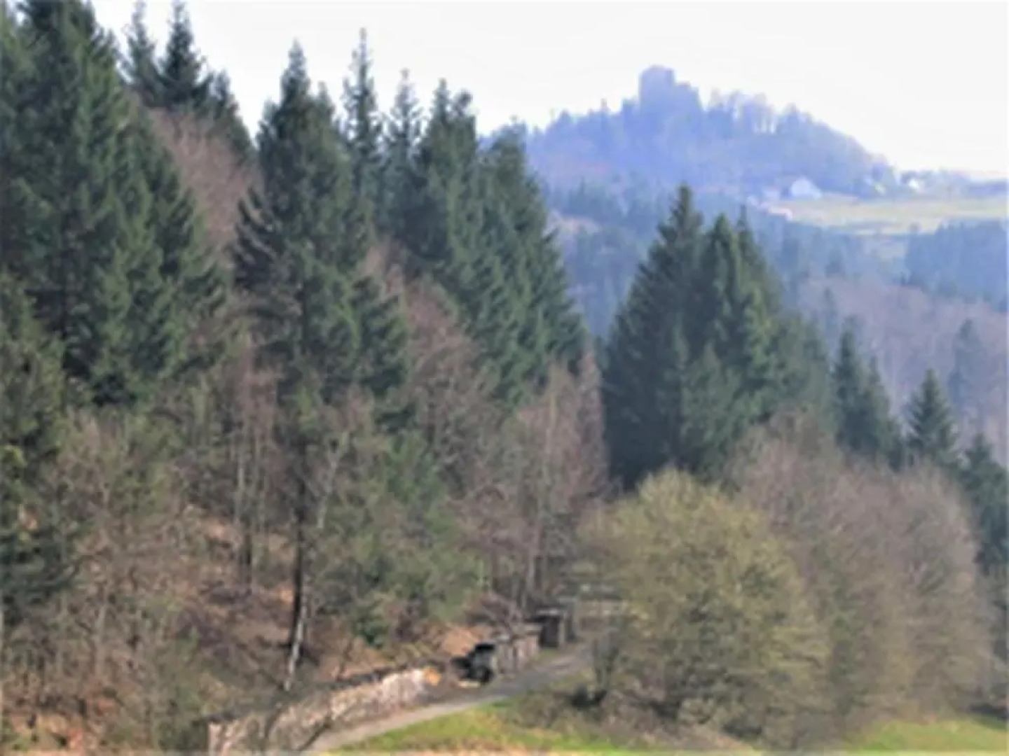 Ferienwohnung Burgblick