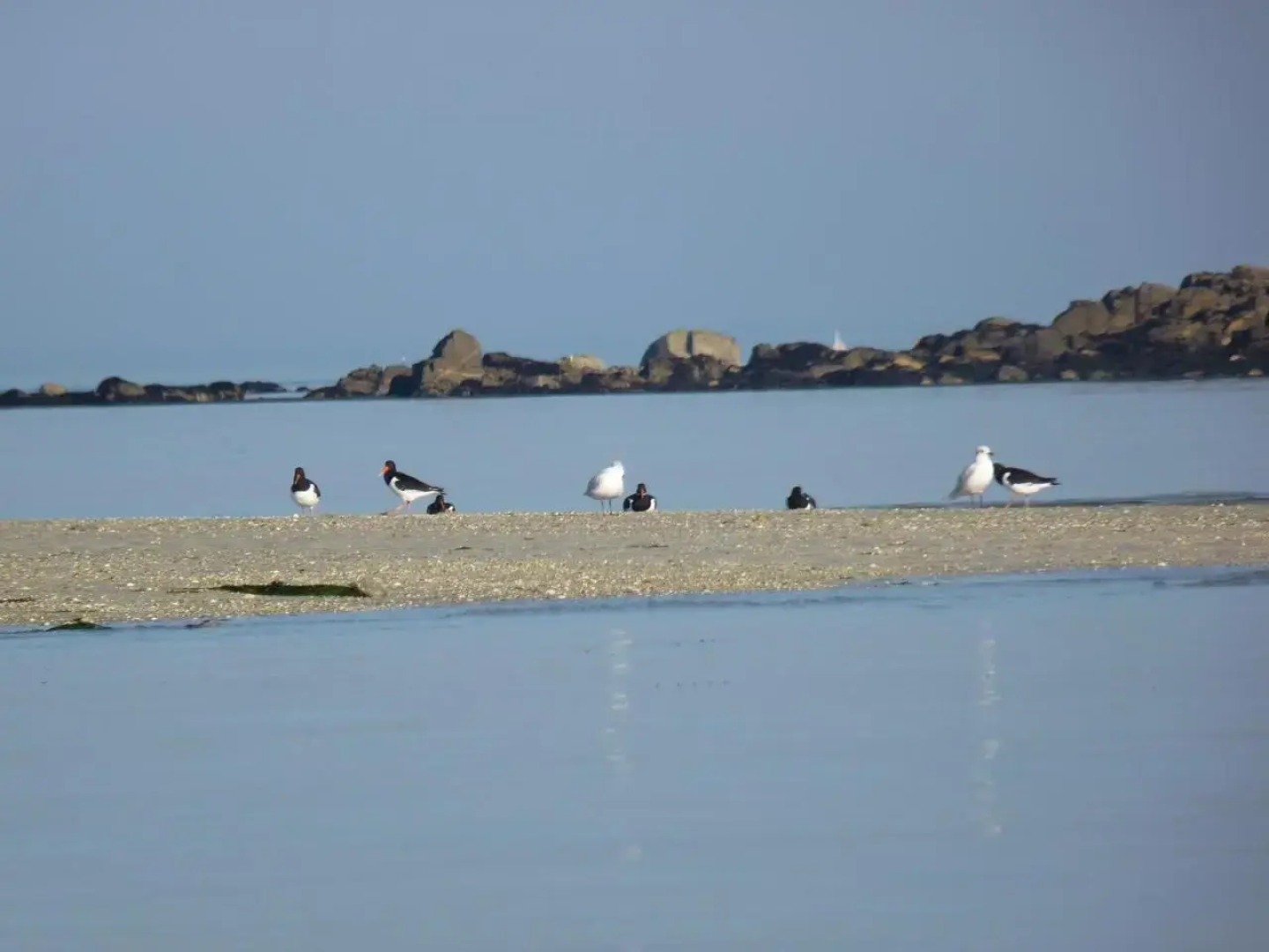 Chambre d'Hôtes de la Grande Greve