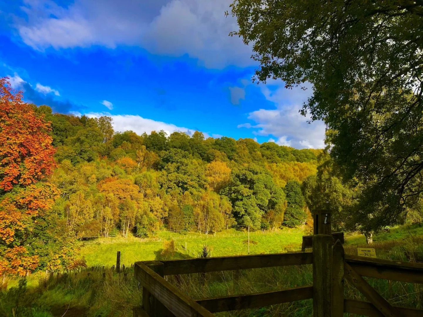 Stunning 1-Bed Apartment in Clyde Valley