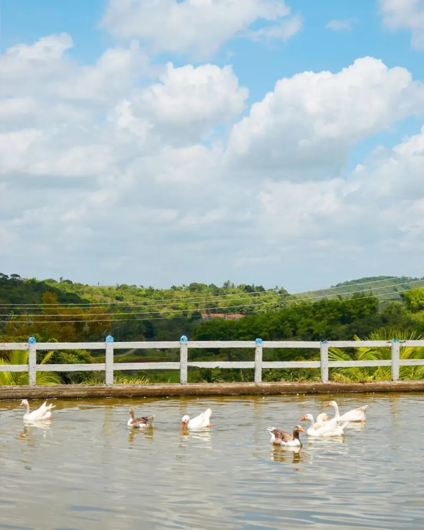 Viver Hotel Fazenda Property