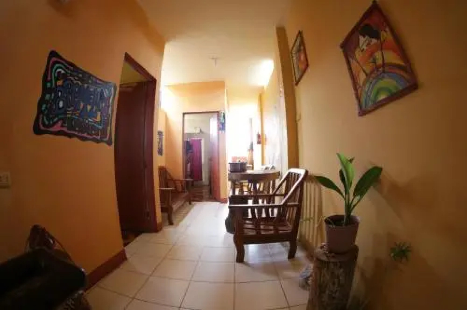 Sachahuasca Backpacker