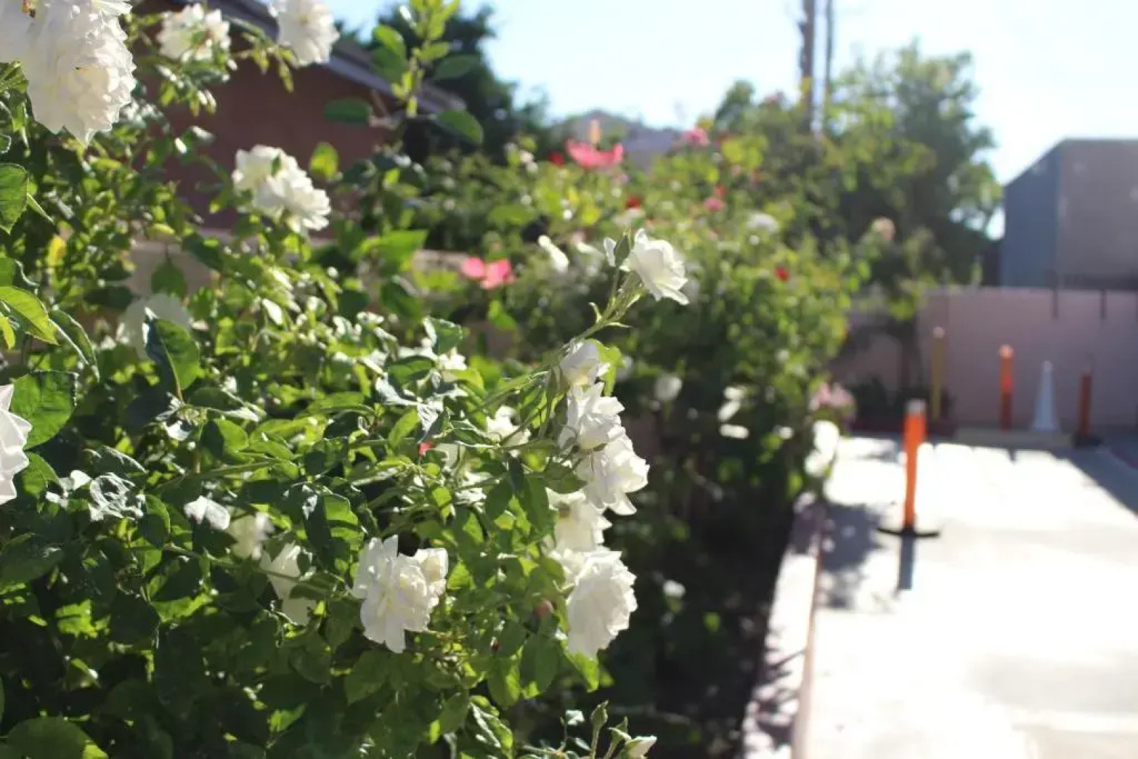 ERTH INN by AGA, Maywood