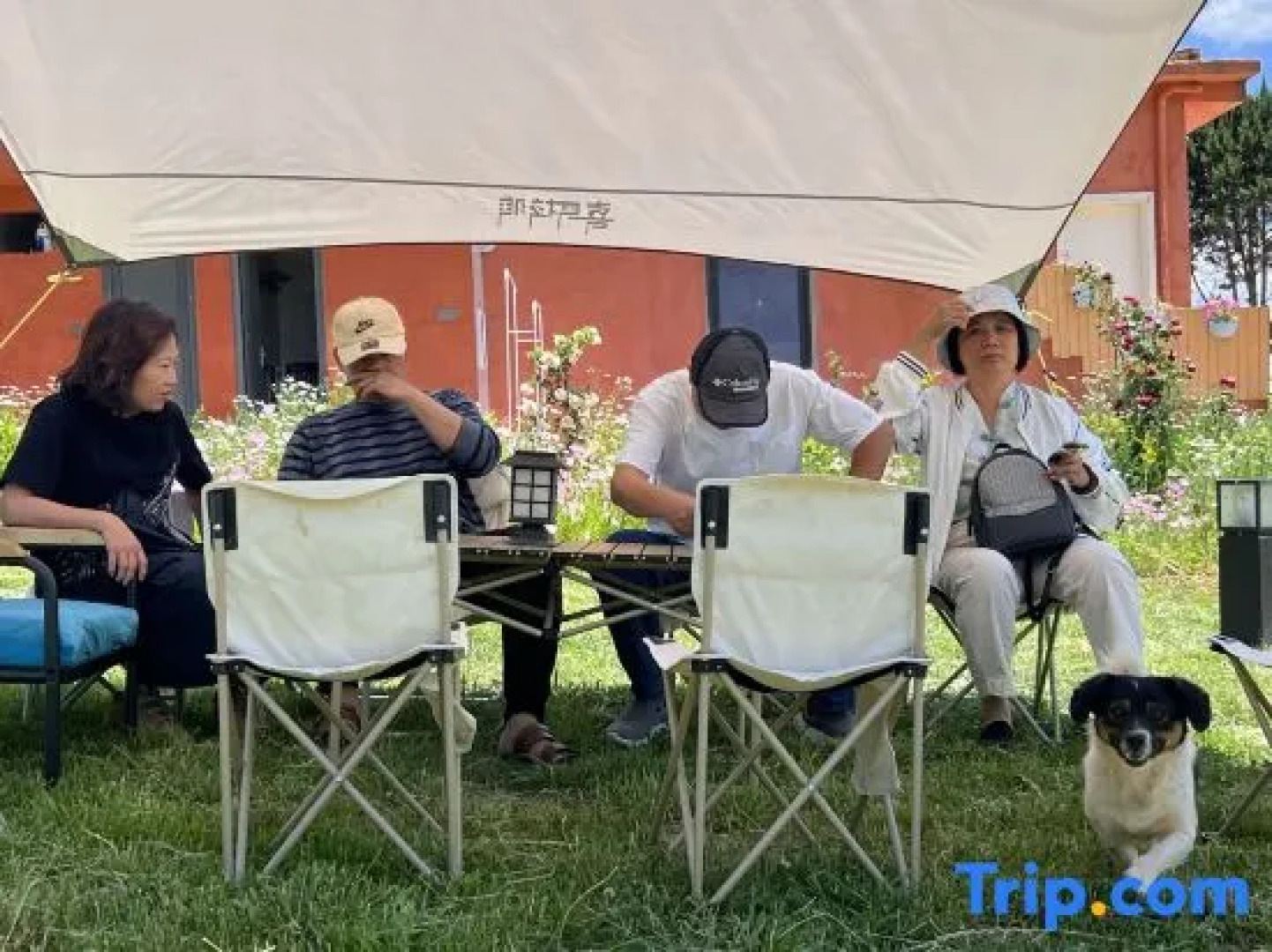 Lugu Lake Yunshang Flower Blossoms Half Mountain Lake View Resort