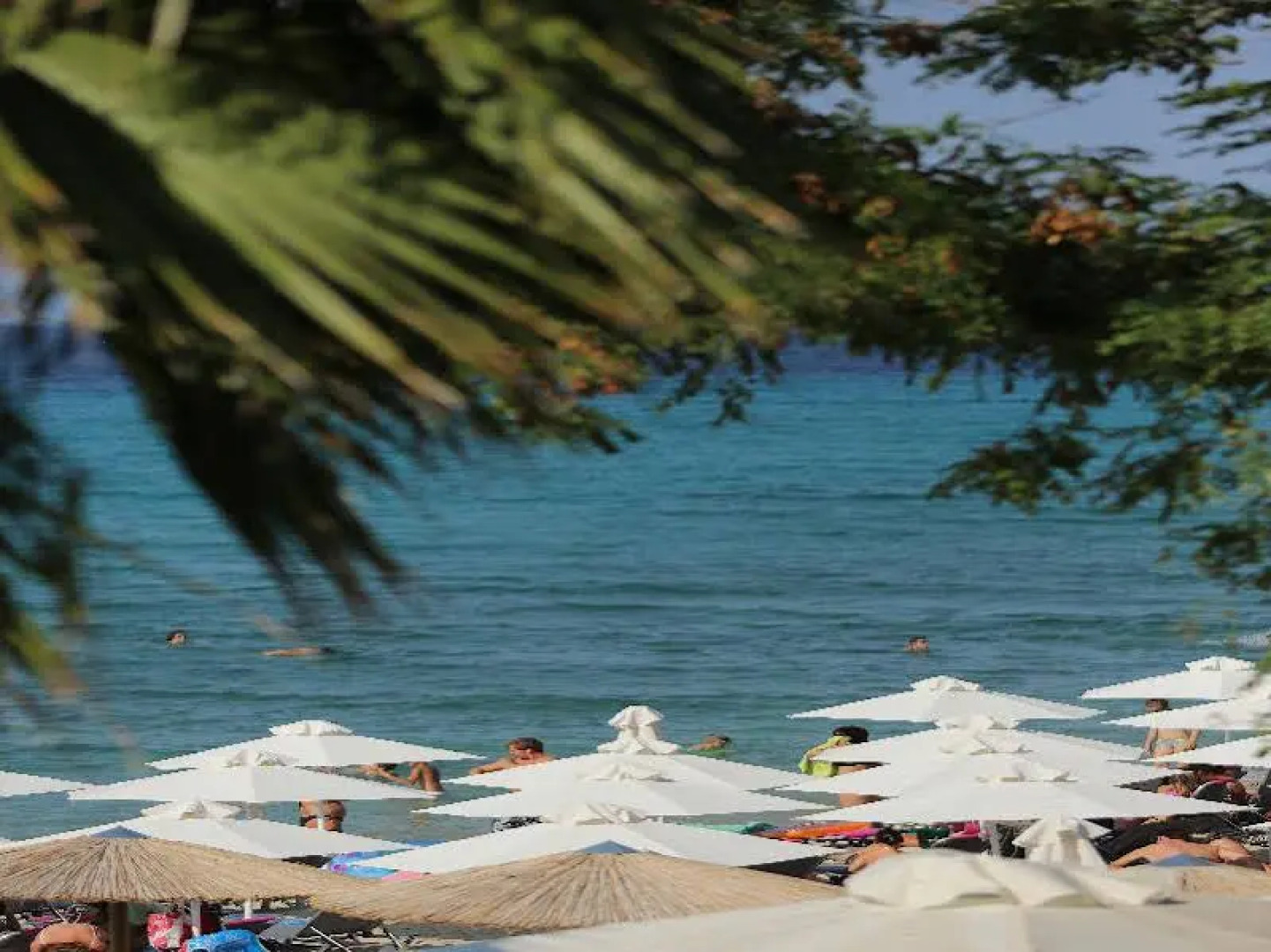 Flegra Beach Boutique Apartments