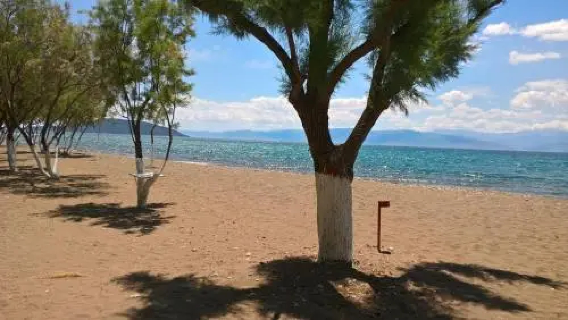 Posidon Bungalows