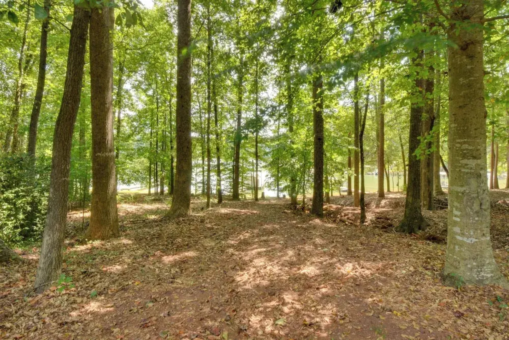 Peaceful Lake Hartwell Hideaway w/ Boat Dock!