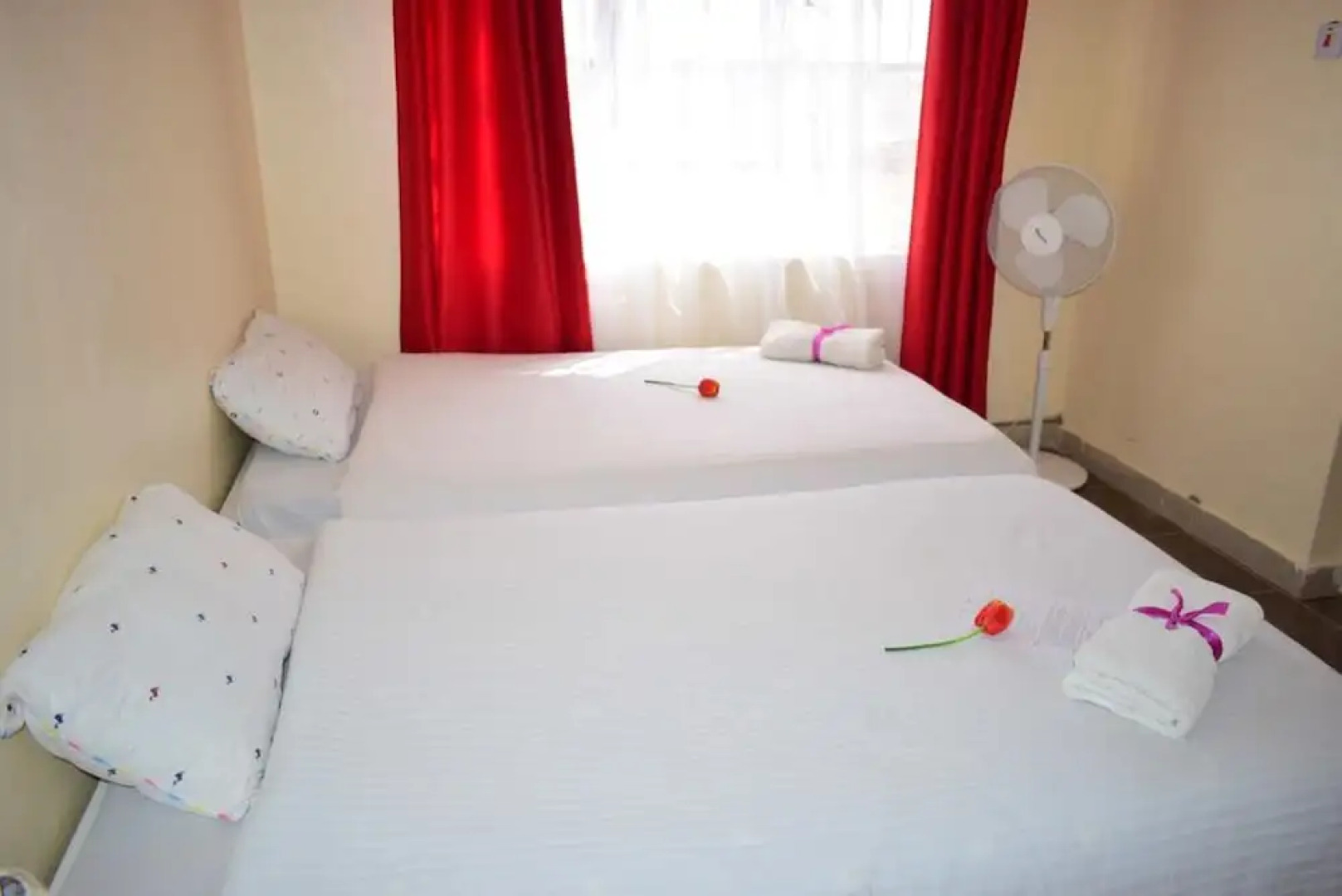 Safari Homes and Tours