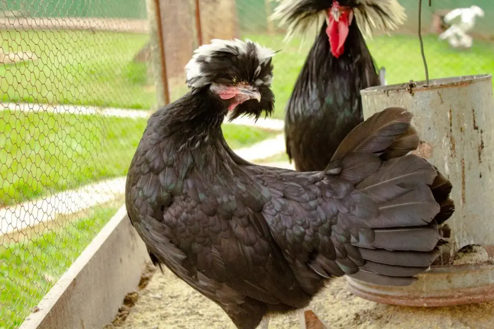 Hotel Fazenda Vale Amanhecer